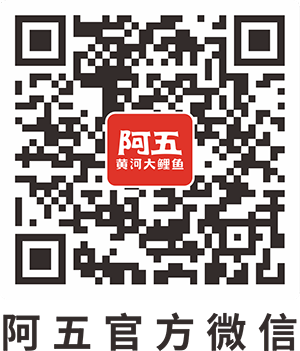 掃描關(guān)注