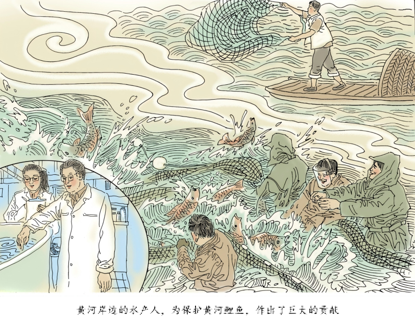 鯉魚研究(1)
