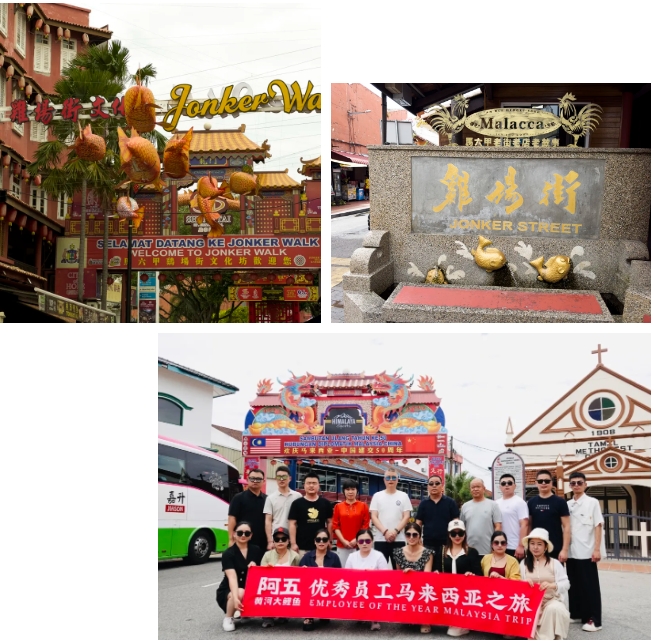 微信截圖_20241111185305