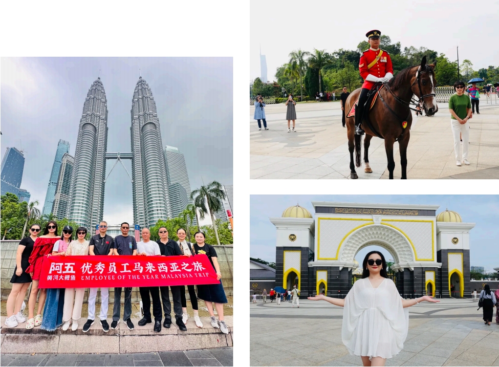 微信截圖_20241111181028